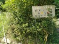 IMG_20250822_105045