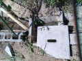 IMG_20250822_105050