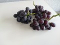 IMG_20250823_101528