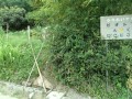 IMG_20250823_173330