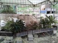 IMG_20250823_174526