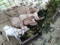 IMG_20250823_174543