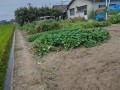 IMG_20250824_105829