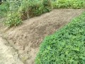IMG_20250824_105839