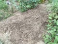 IMG_20250824_105845