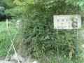 IMG_20250824_175920