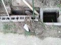 IMG_20250824_175925