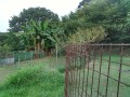 IMG_20250824_180916