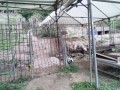 IMG_20250824_181133