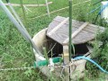IMG_20250825_163841