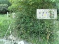 IMG_20250825_163846