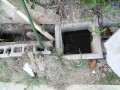 IMG_20250825_163853
