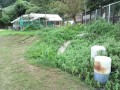 IMG_20250825_163948