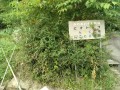 IMG_20250826_083811