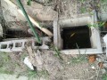 IMG_20250826_083815