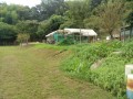 IMG_20250826_083846