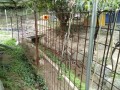 IMG_20250826_090155