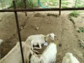 IMG_20250826_090420