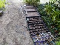 IMG_20250826_175617