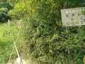 IMG_20250827_104606