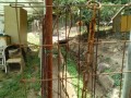 IMG_20250827_105235