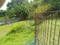 IMG_20250827_105300