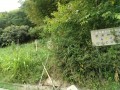 IMG_20250828_095938