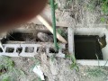 IMG_20250828_095944
