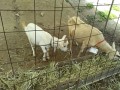 IMG_20250828_100533