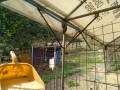 IMG_20250828_100543
