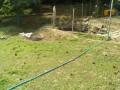 IMG_20250828_100613