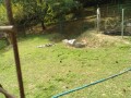 IMG_20250828_100614