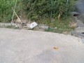 IMG_20250829_083702