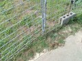 IMG_20250829_083742