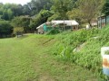 IMG_20250829_083745