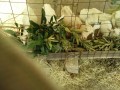 IMG_20250829_084539