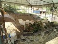 IMG_20250829_084559