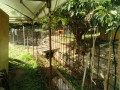 IMG_20250829_084602
