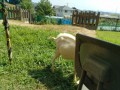 IMG_20250829_095039
