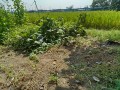 IMG_20250830_094617