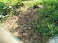 IMG_20250830_094624