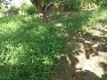 IMG_20250830_094628
