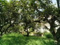 IMG_20250830_094630