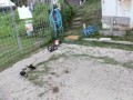 IMG_20250830_173000