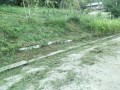 IMG_20250830_173003