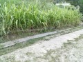 IMG_20250830_173012