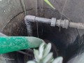 IMG_20250830_173036
