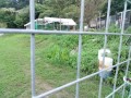 IMG_20250830_173117