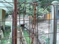 IMG_20250830_174529