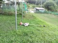 IMG_20250830_175601
